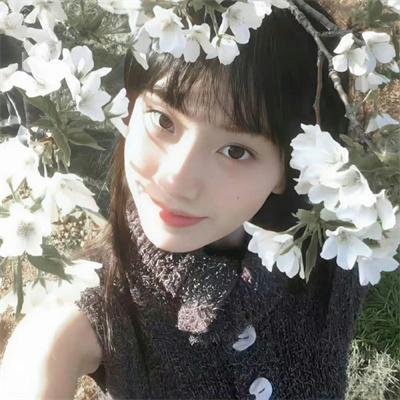 捉贼记
